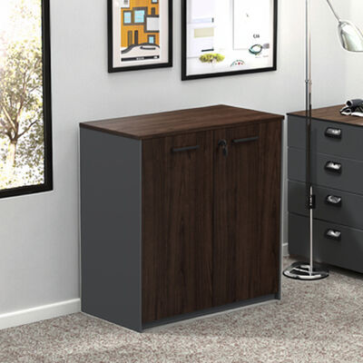 Dark-toned Modern Design Eco-Friendly Filing Cabinet for Office Space Use Easy Assembly Factory wholesale